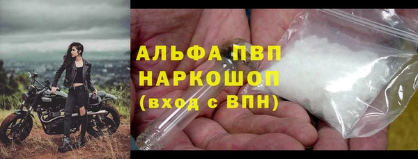 ГАЛЛЮЦИНОГЕННЫЕ ГРИБЫ Аркадак