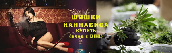 ГАЛЛЮЦИНОГЕННЫЕ ГРИБЫ Аркадак