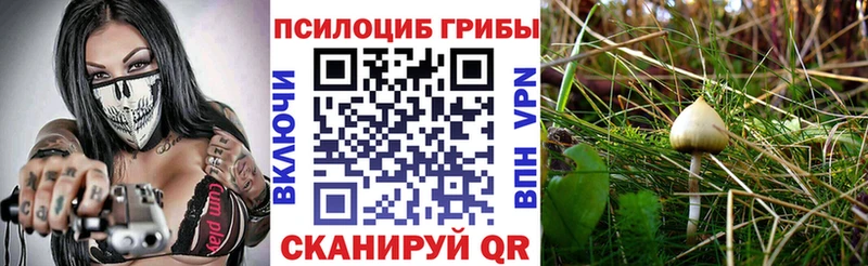 Галлюциногенные грибы мухоморы  Оханск 